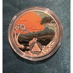 AA 21 Year Sobriety Coin Recovery Addiction NA AA Chip (10% to Charity)
